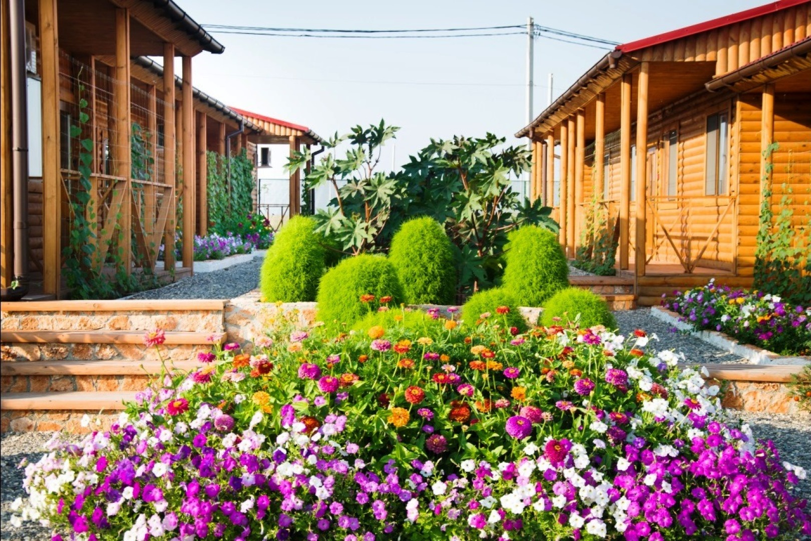 Пансионат Новый Океан