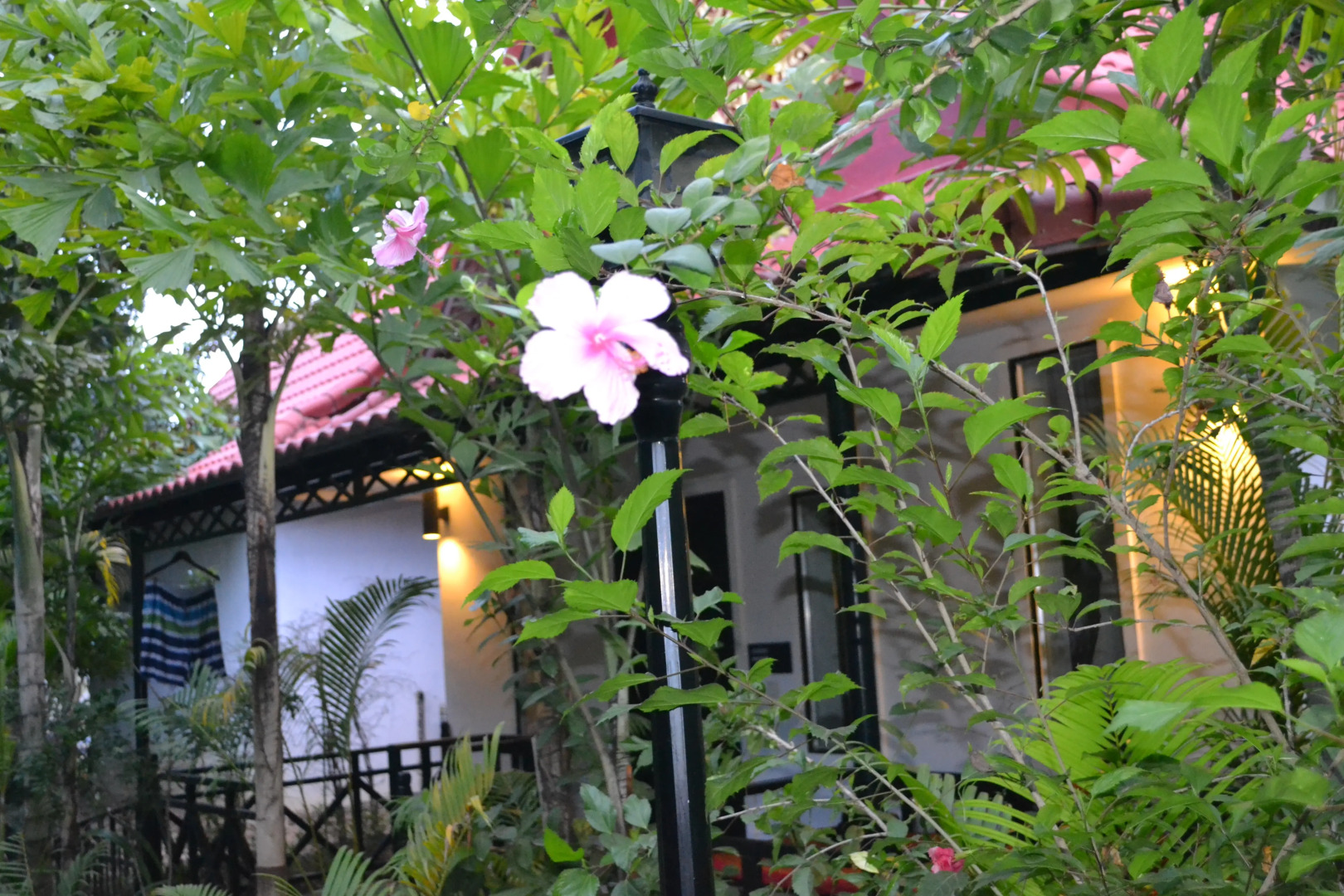 Вилла Nature Boutique Residence