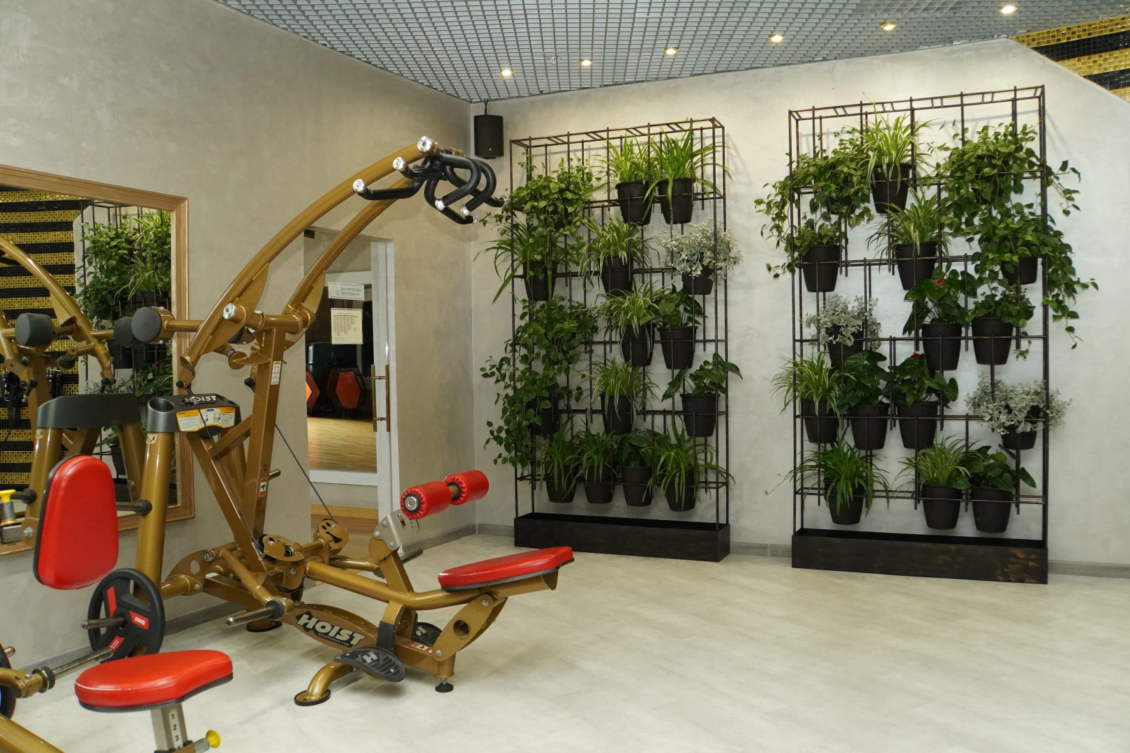 Отель Grand Wellness Hotel & Spa 5*