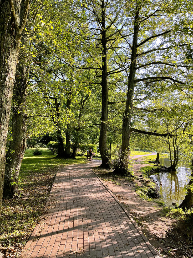 Квартира Куршская коса