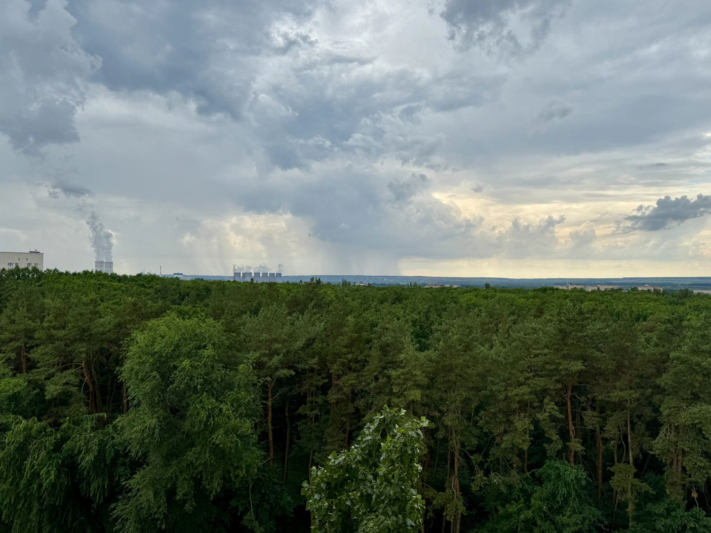 Квартира Уютная с видом на городской парк