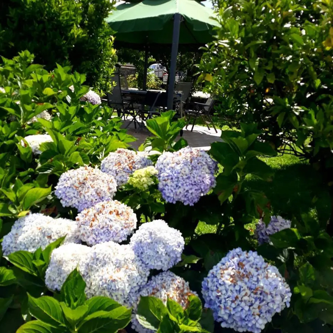 Отель Замок Casa de Santa Ana de Beira