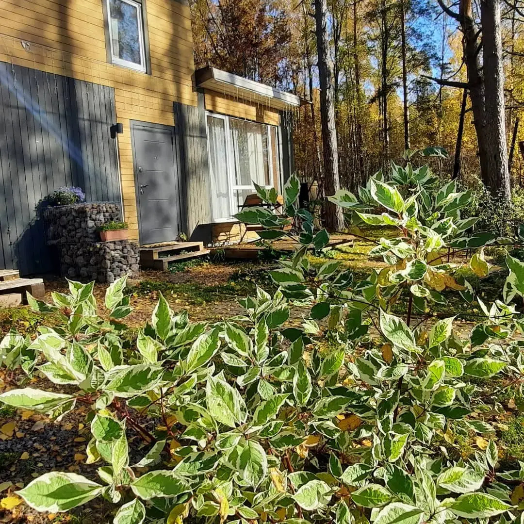 Частный дом в Вязах