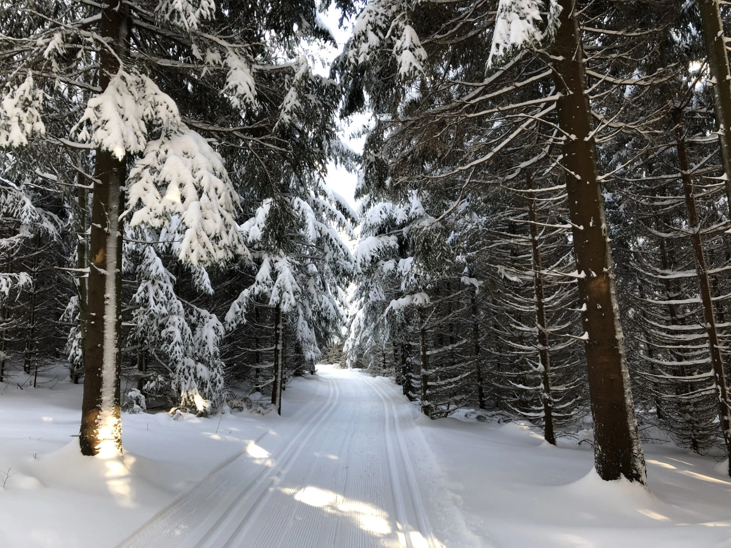 Апартаменты Fichtelbeger Blick