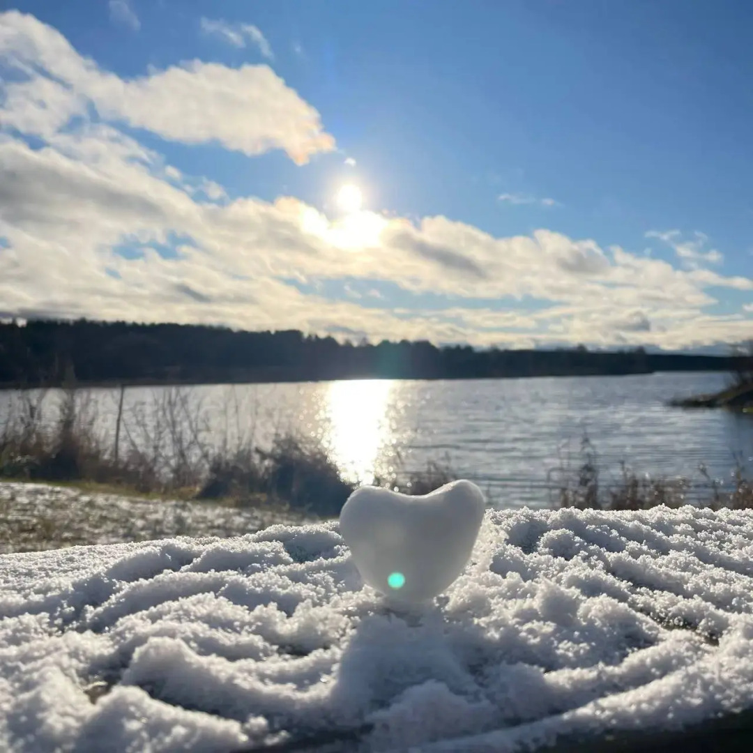Частный Дом Лакшми
