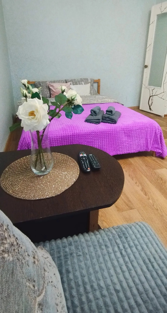 Апартаменты Ленина 86