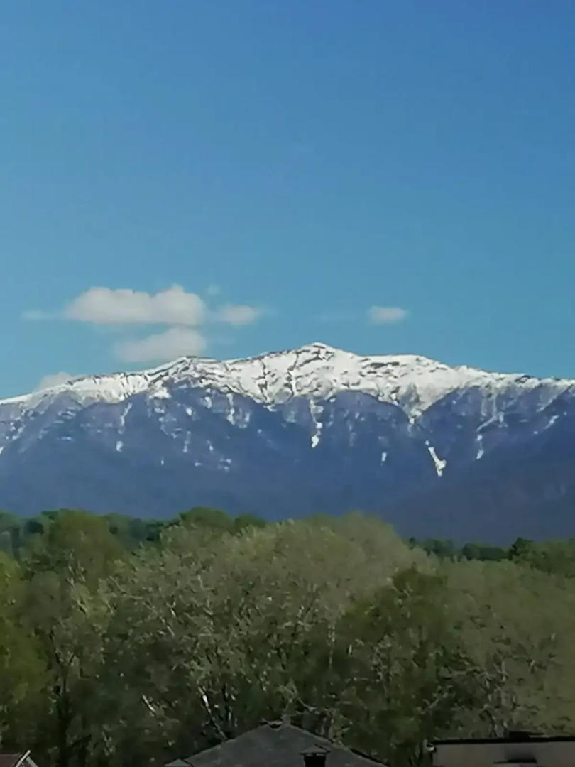 Апартаменты Хаят