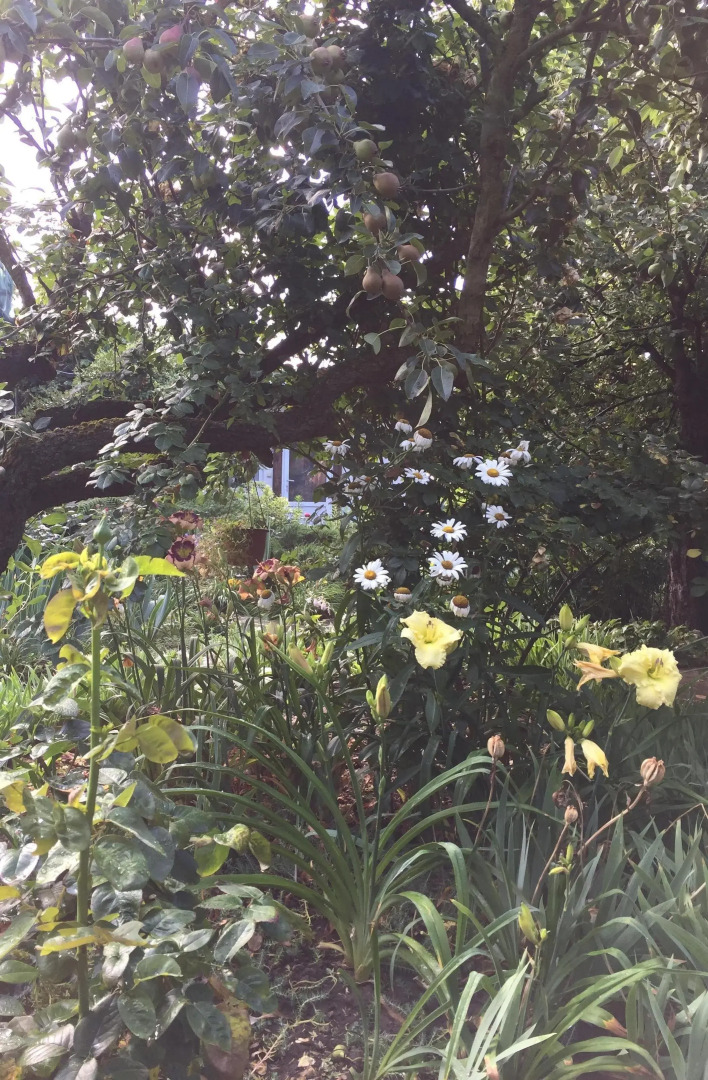 Гостевой дом Дом в саду