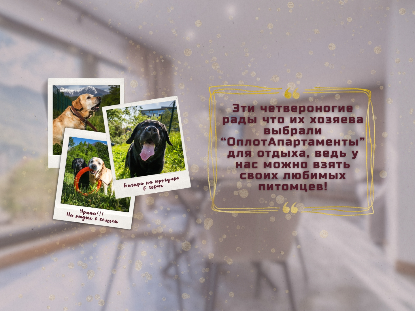 Апартаменты Оплот - С балконом 9