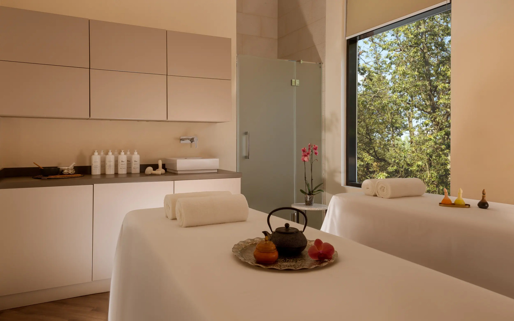 Отель СПА Palmira Garden