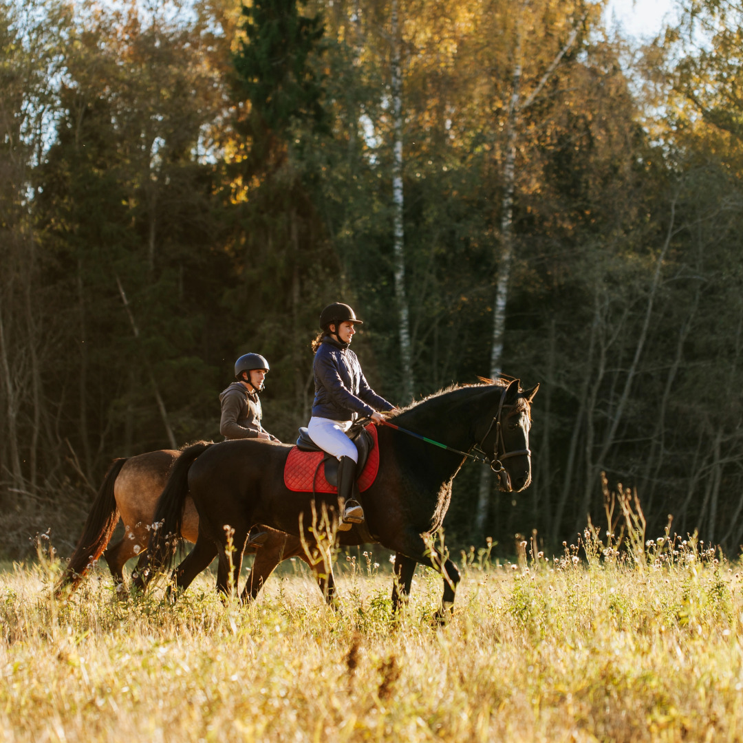 База отдыха Агротуристический комплекс Эль Ранчо