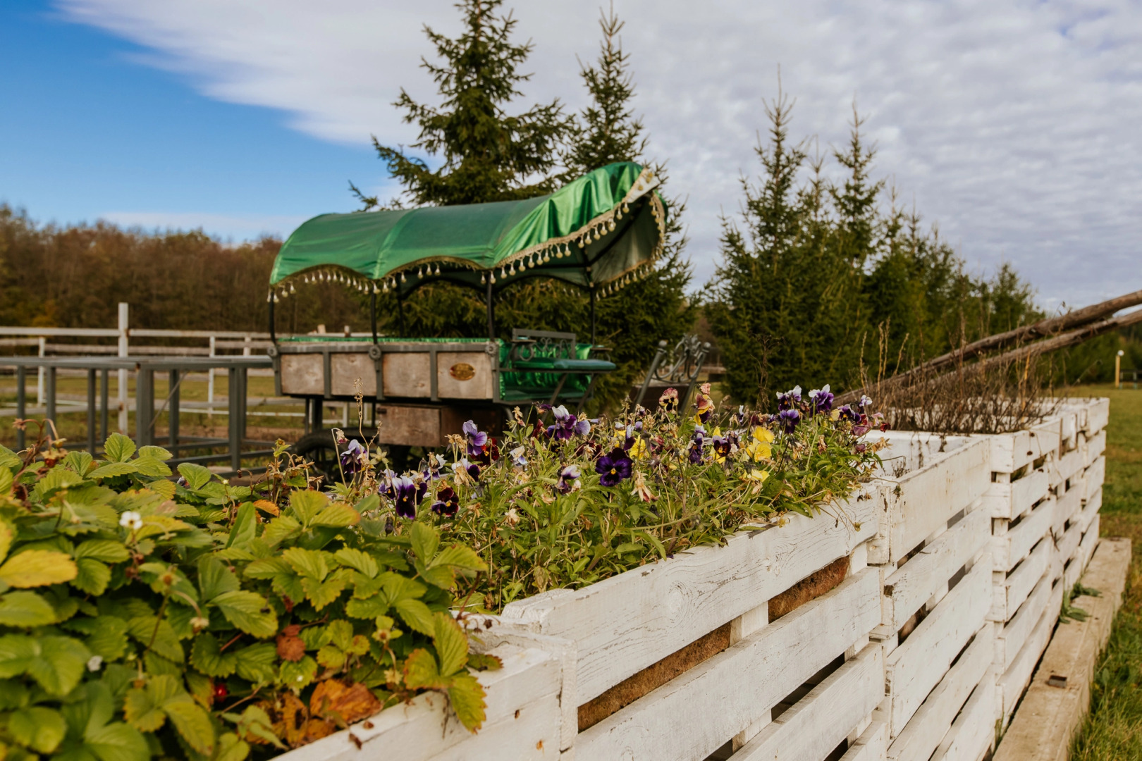 База отдыха Агротуристический комплекс Эль Ранчо