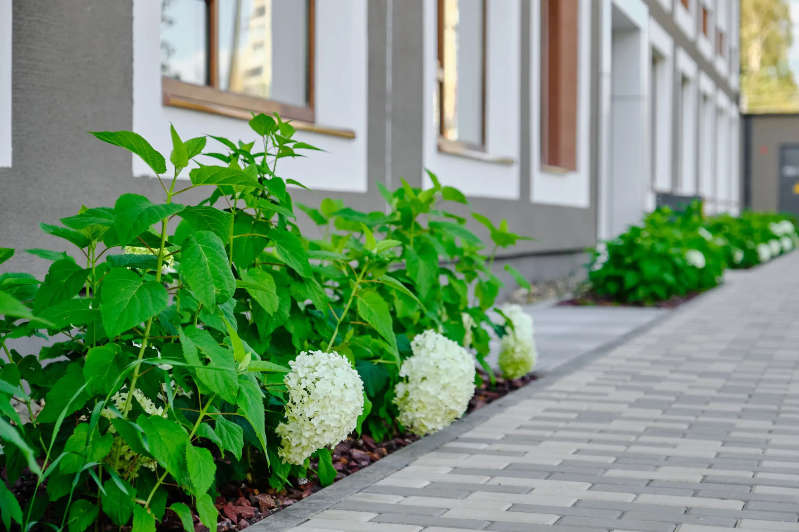 Квартира на Шаумяна 20