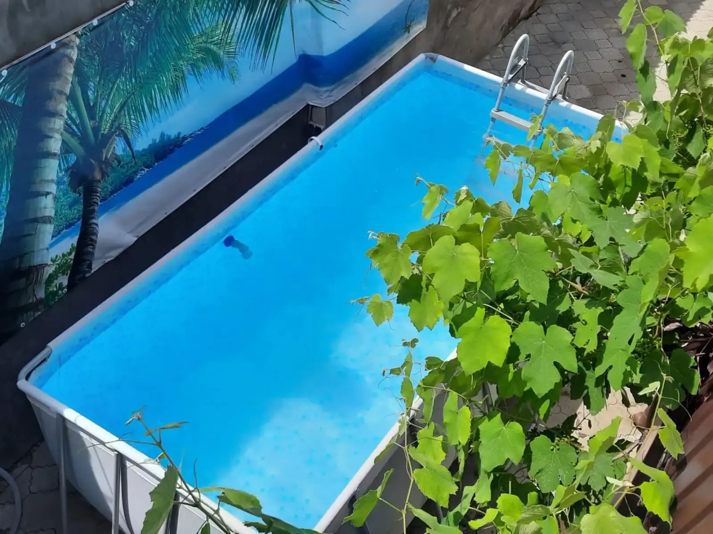 Гостевой Дом На Шевченко