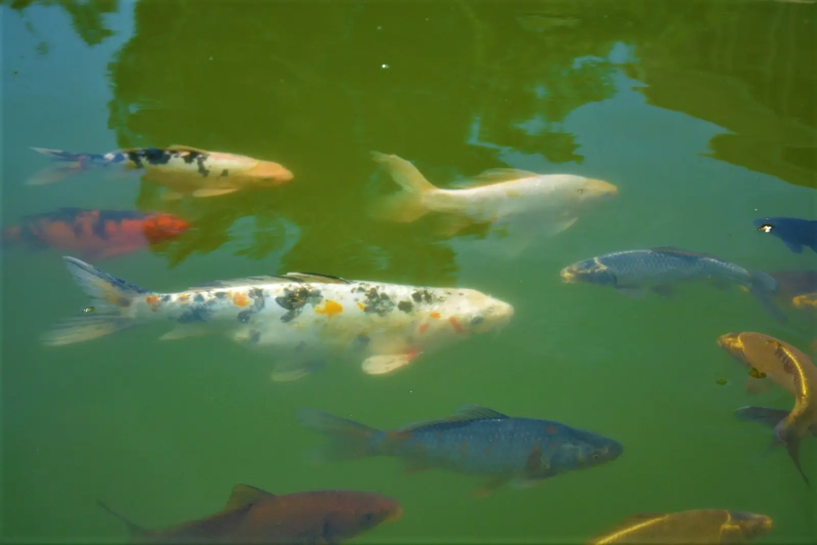 Дом Отдыха Полёт