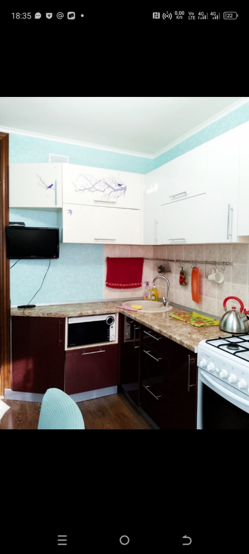 Квартира на Проспекте Карла Маркса 208