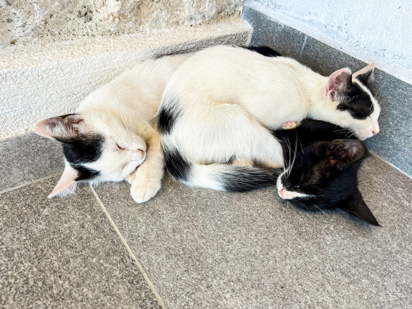 Отель Kaleli Deluxe Homes