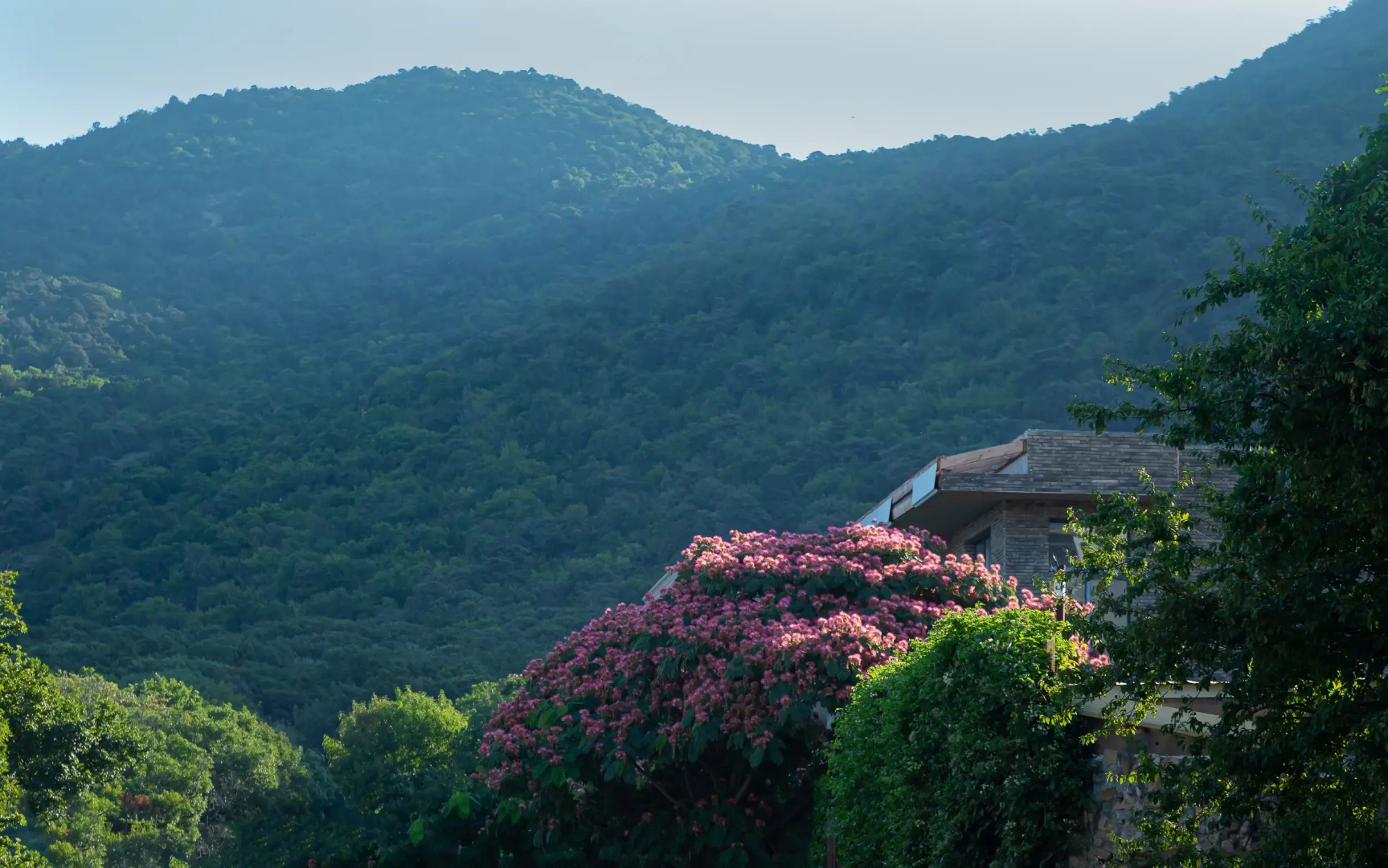 Democratia Ultra All Inclusive Family Hotel