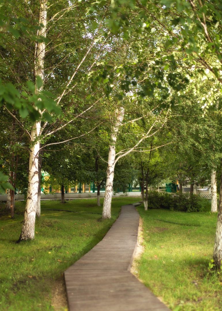 Мини-отель Парк-отель Алмаз