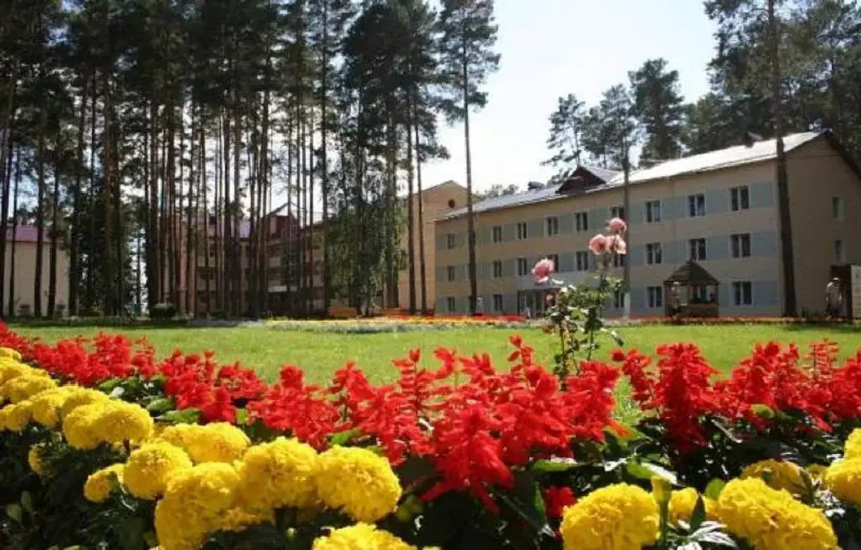Krasnaya Gvozdika Sanatorium