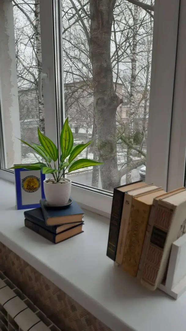 Квартира на набережной Александра Невского