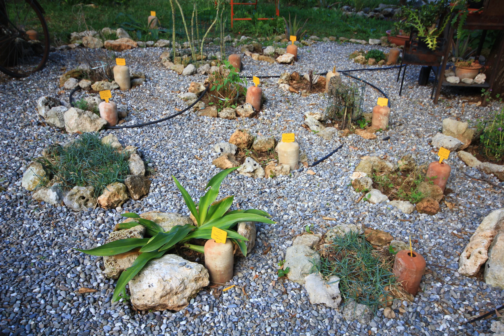 Гостевой дом Villa Diana