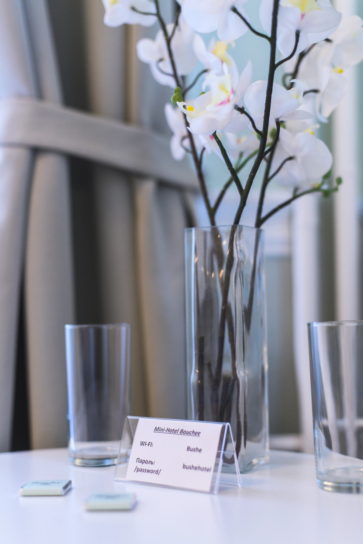 Мини-Отель Буше