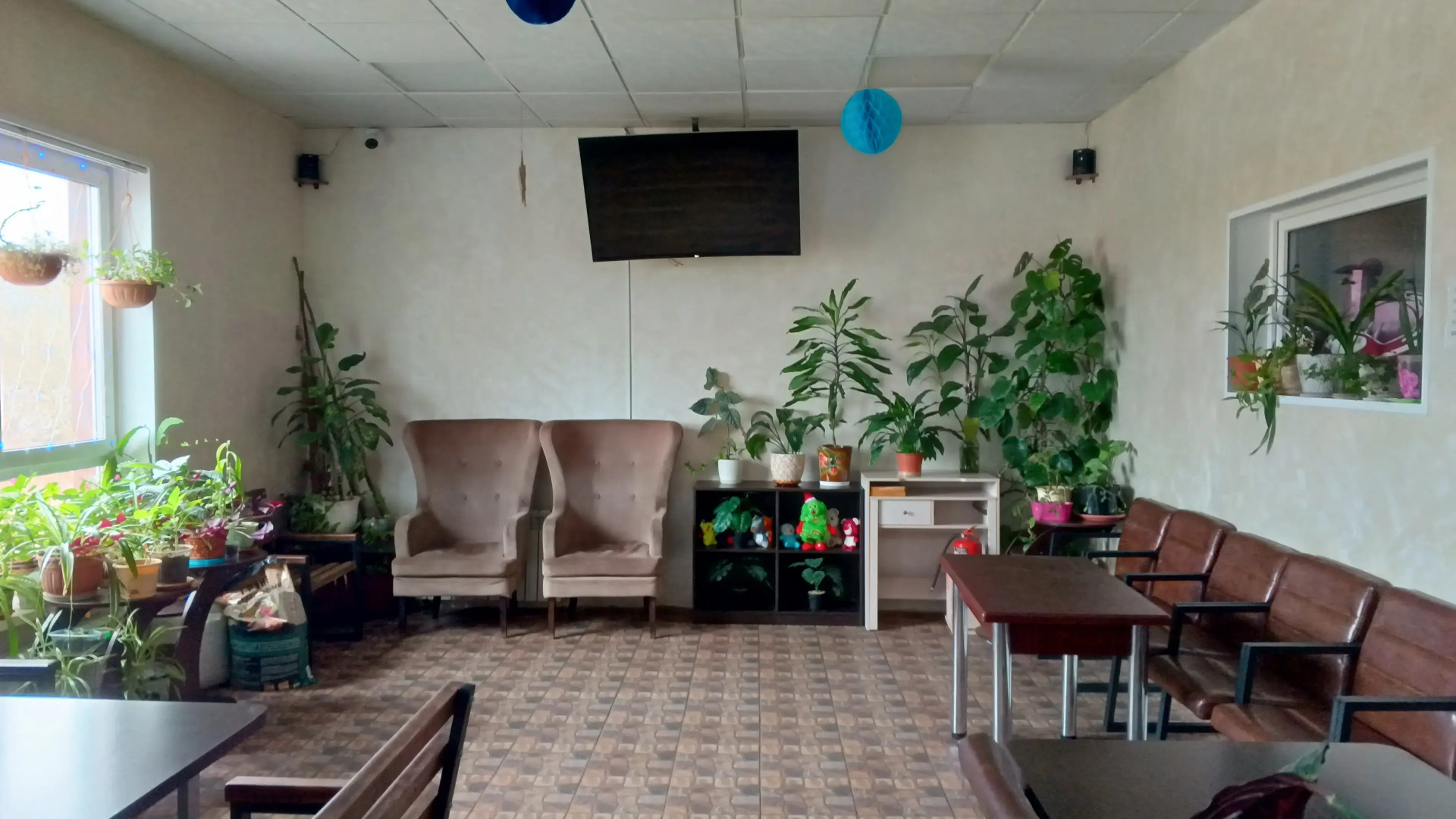 Хостел Делики