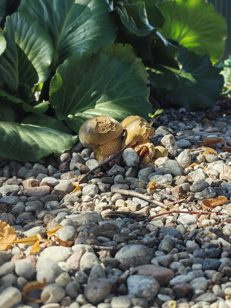 Гостевой дом Тихая Гавань
