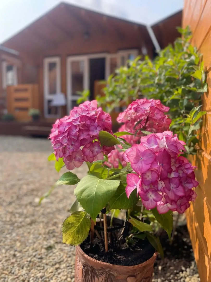 База отдыха Ольгинка