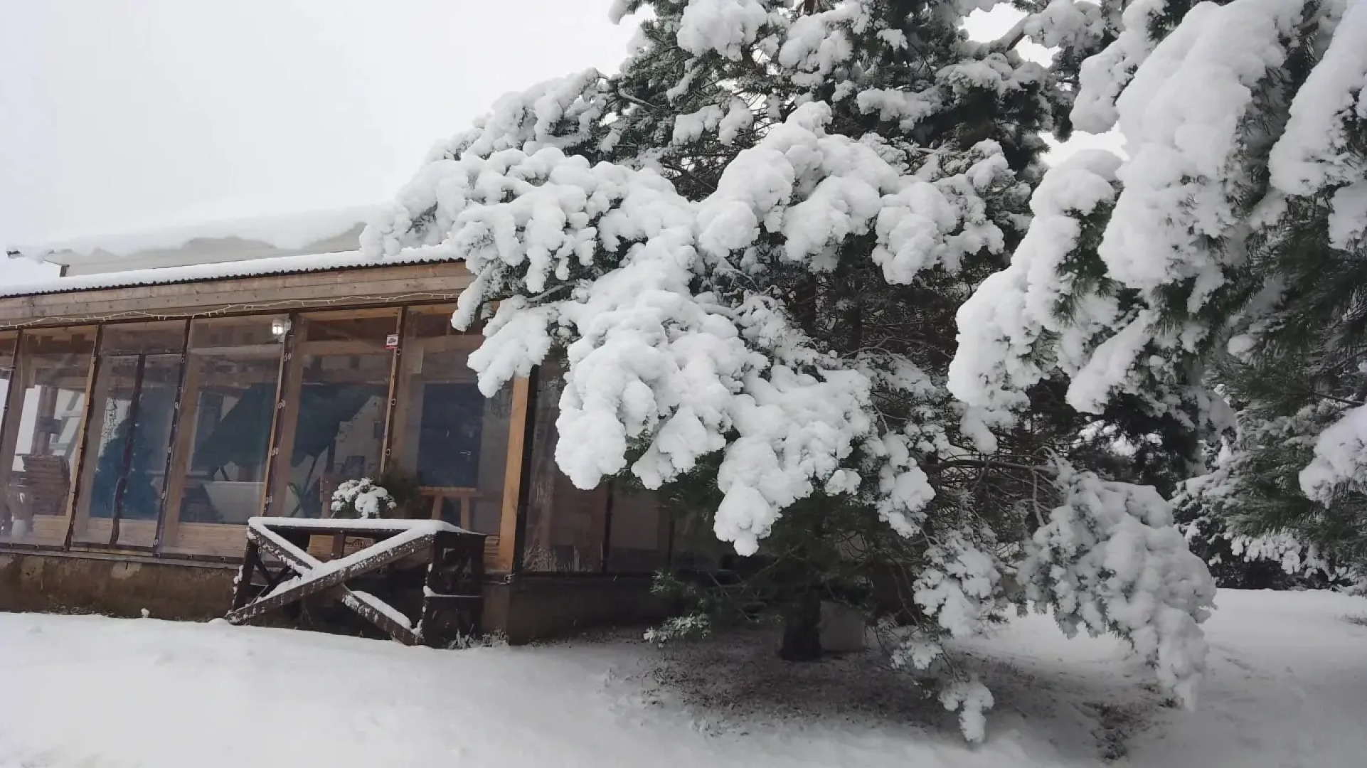 Частный дом Хитрый Лис