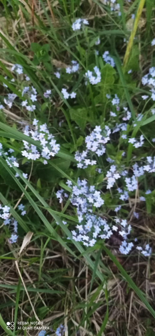 Отель Дом солнца