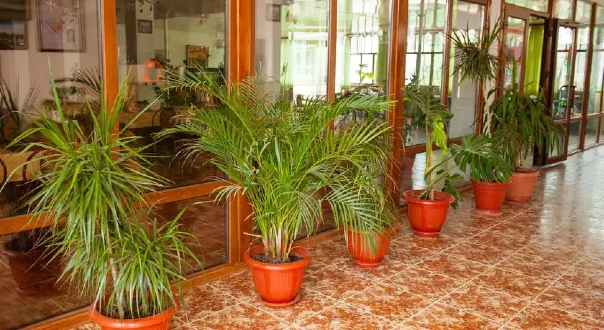 База отдыха Сейт-Неби