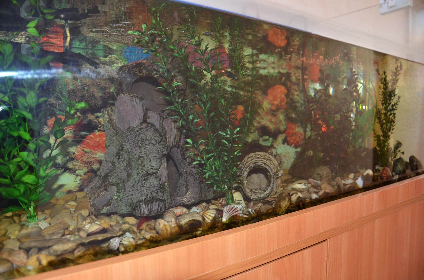 Волшебный край