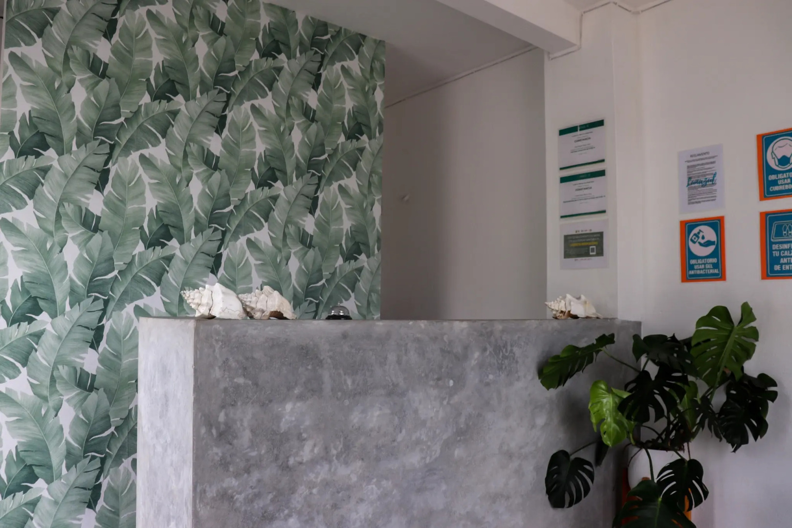 Отель Lunazul by Rotamundos