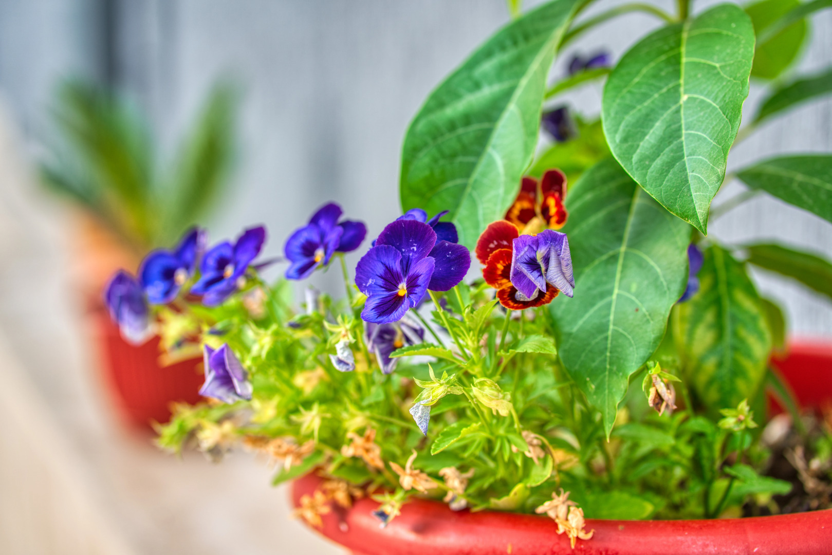 Гостевой дом АиСТ