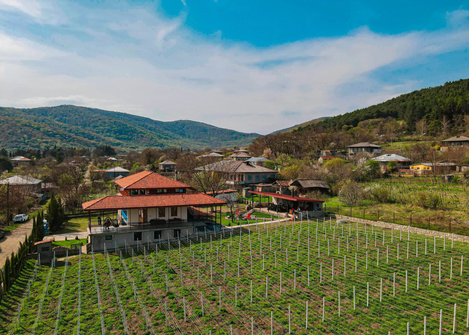 Вилла Matisi Wine Cellar & Country House