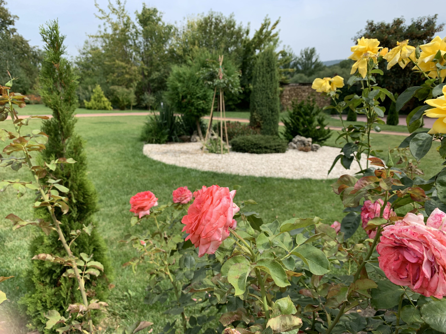 Апартаменты ЖК Green Park