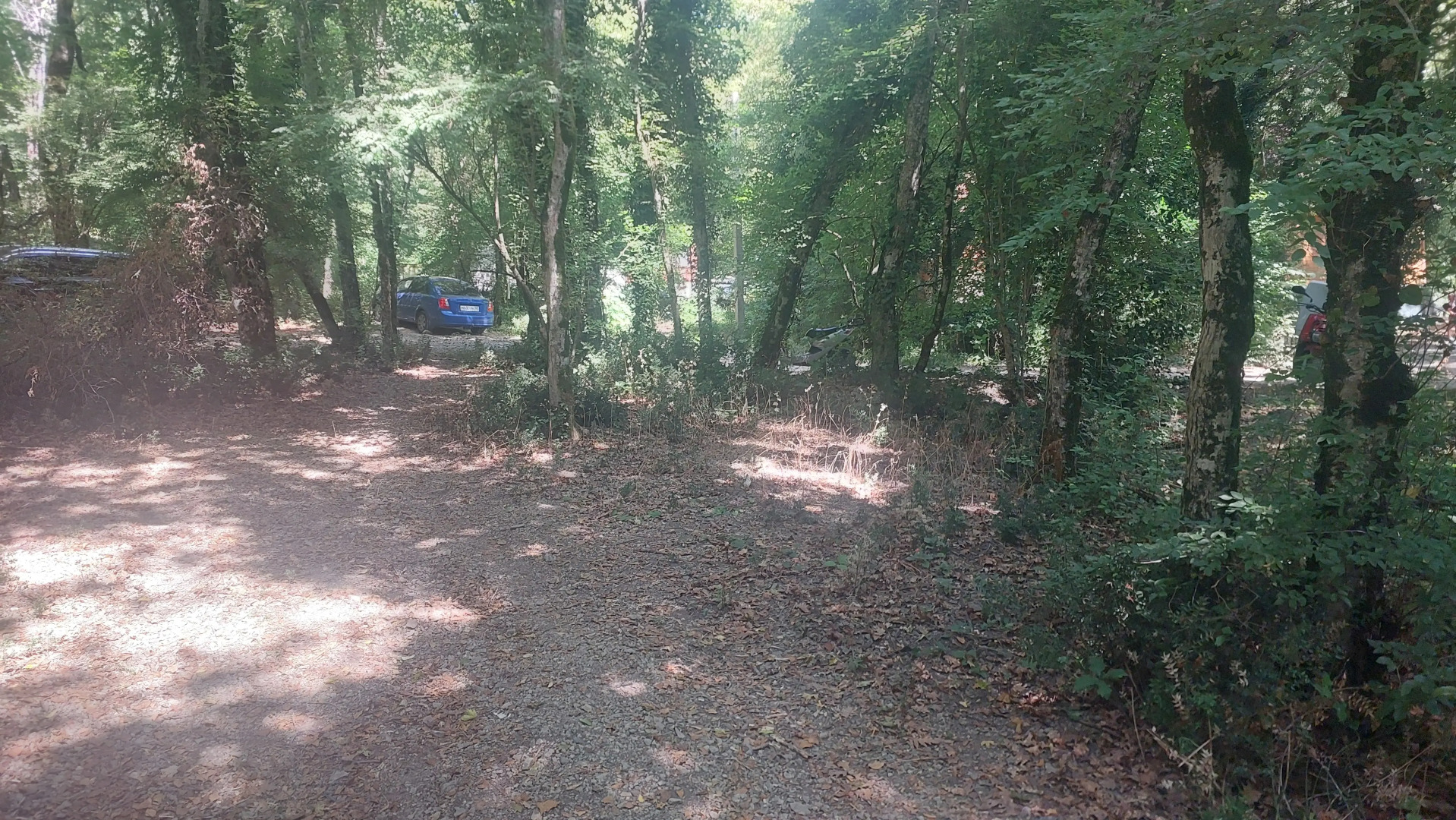 Гостевой дом Betta village