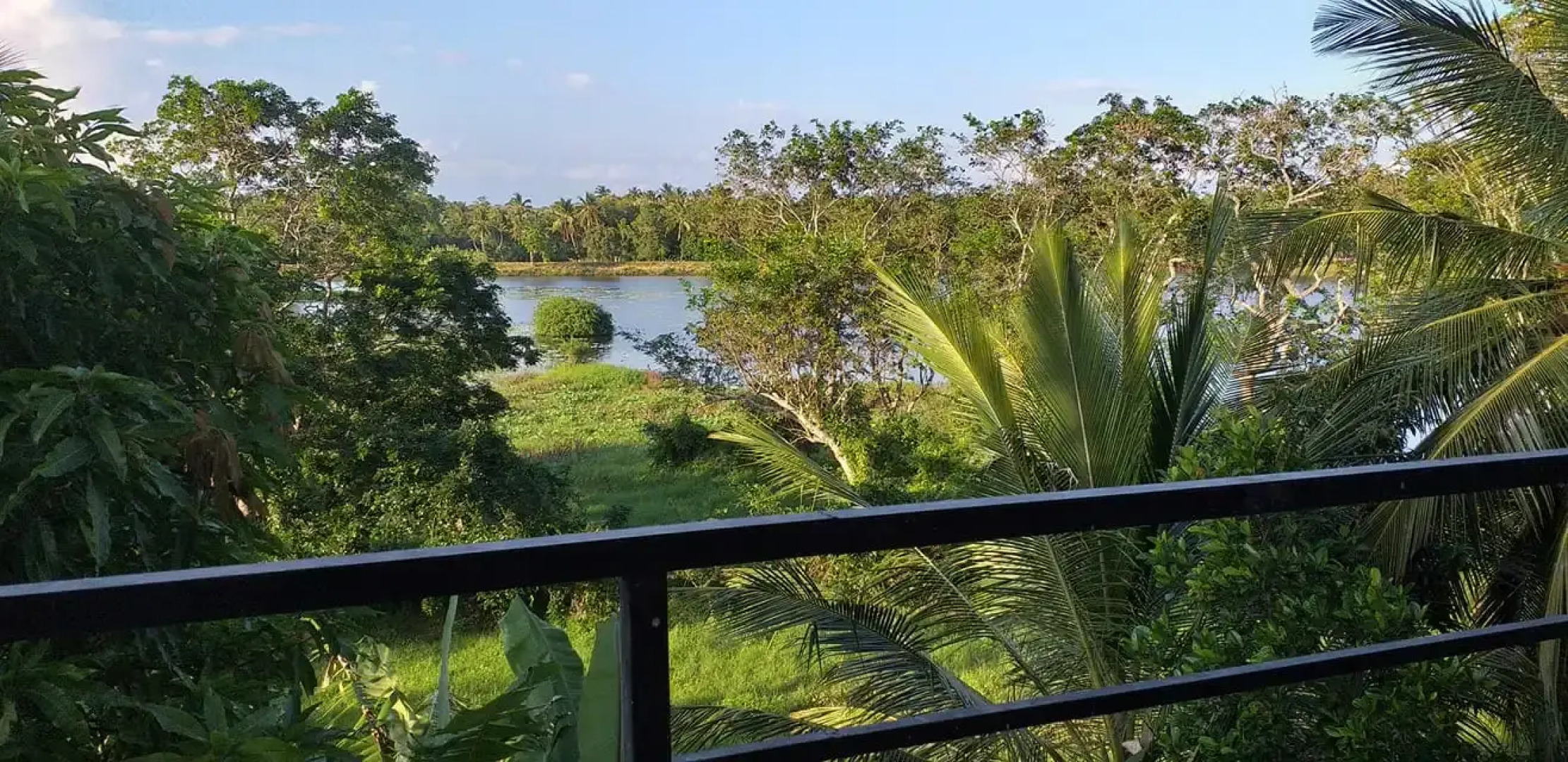 Отель Hasthi Resort Habarana