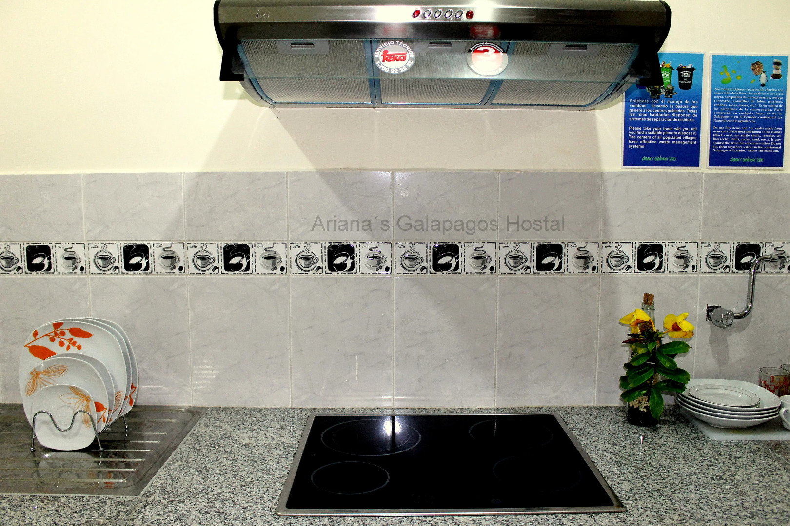 Хостел Ariana´s Galapagos