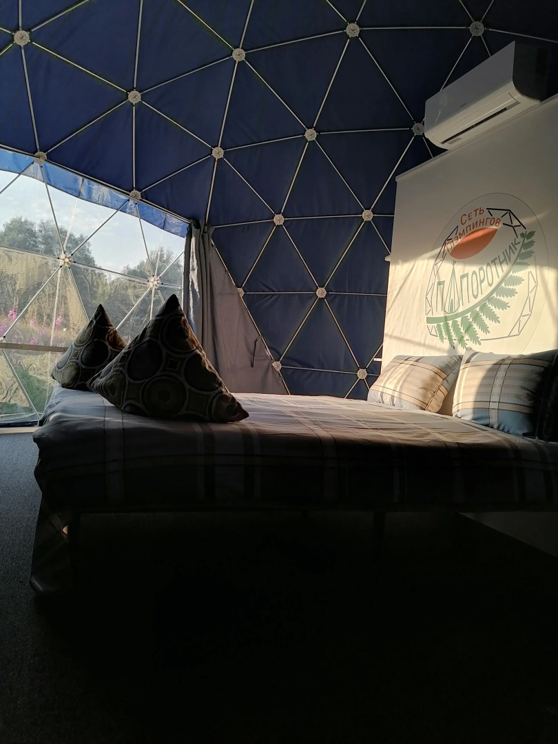 Папоротник