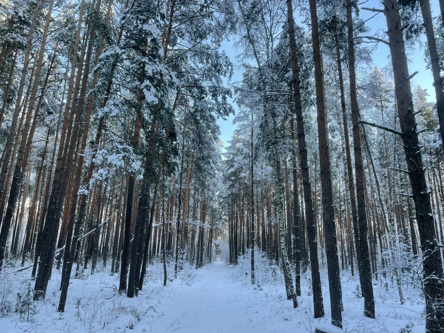 Глэмпинг А-Ферма
