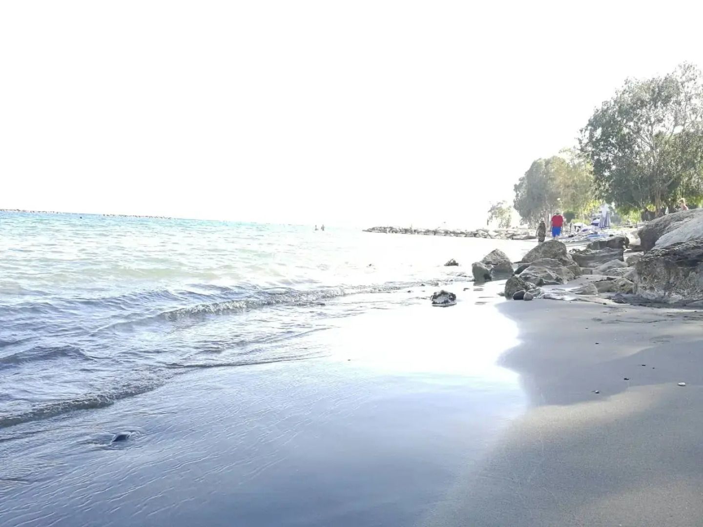 Апарт-Отель Alex Kotov