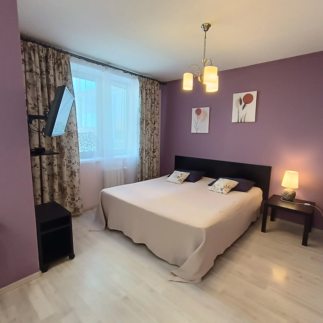 Апартаменты Библиотечная 45 #1