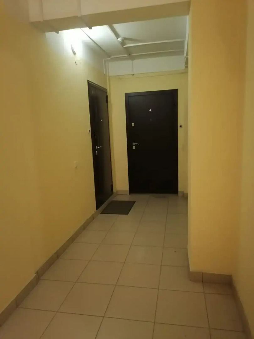 Квартира с окнами на лес