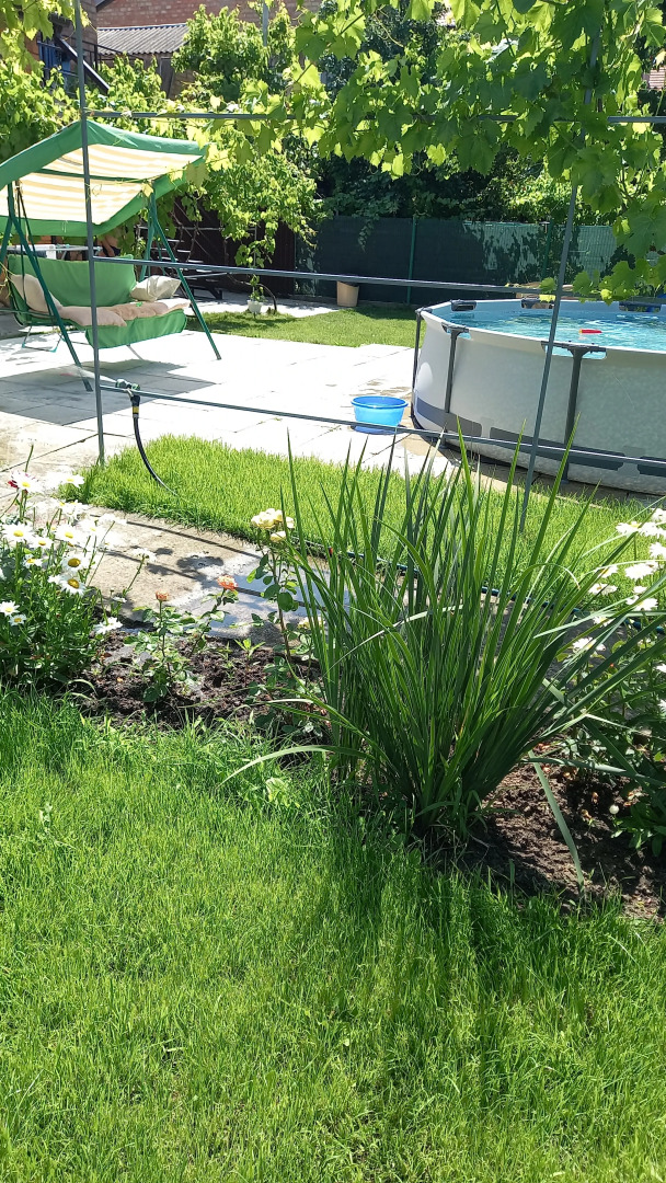 Гостевой дом Семейный