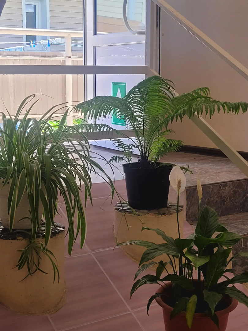 Гостевой дом Единство