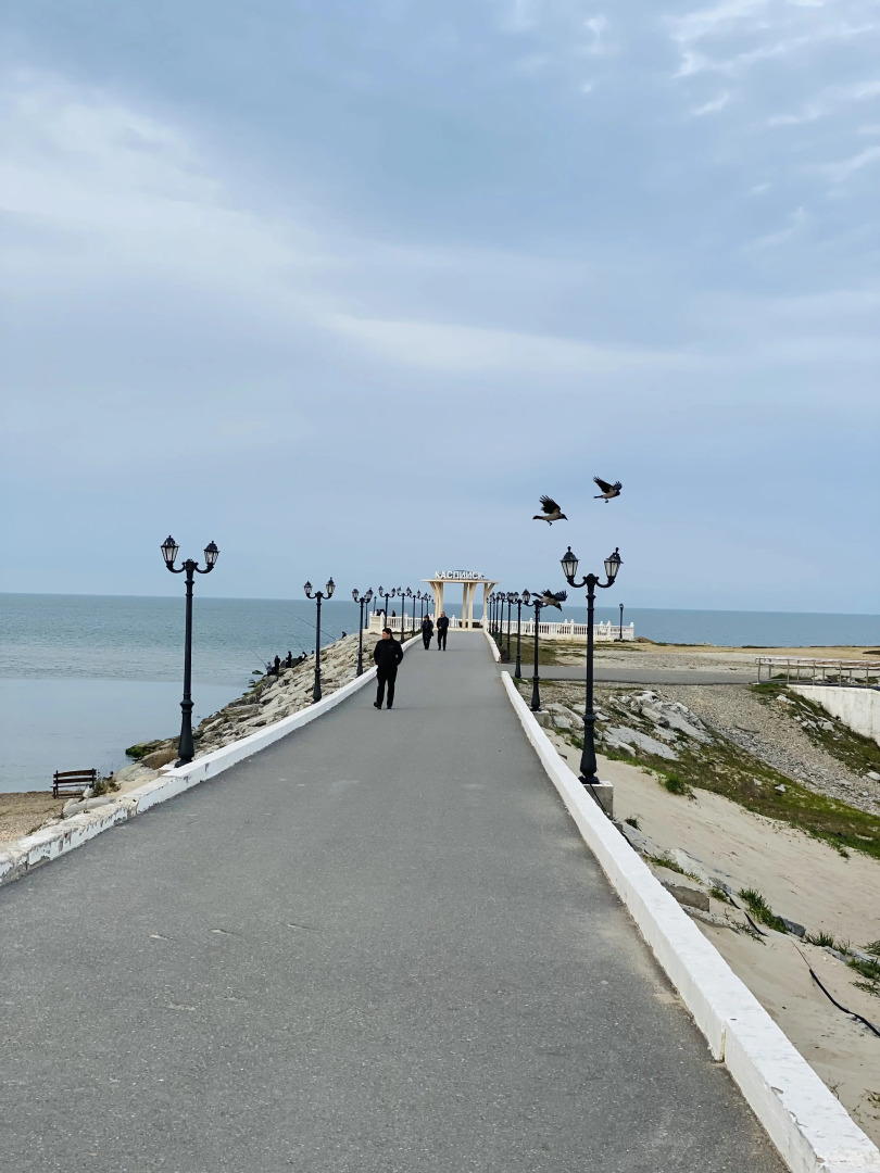 Апартаменты TUR HOUSE у моря