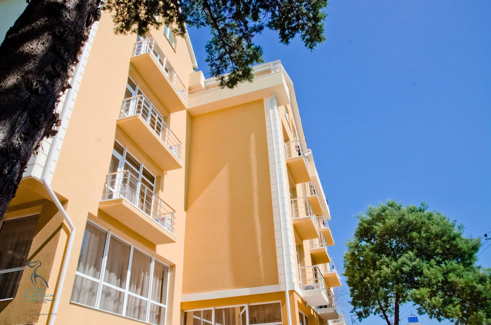 Отель Пеликан